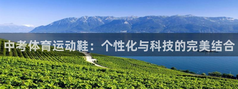 V体育app下载入口：中考体育运动鞋：个性化与科技的完美结合