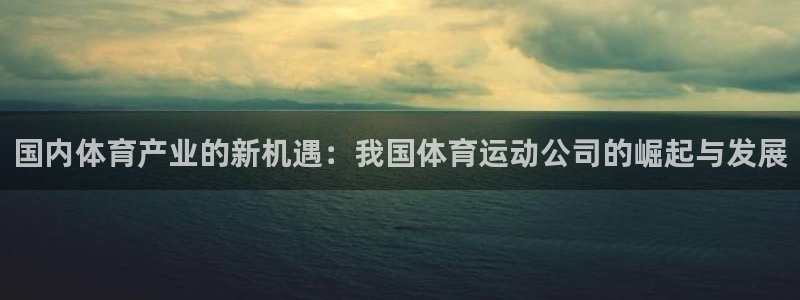 V体育网站入口登录