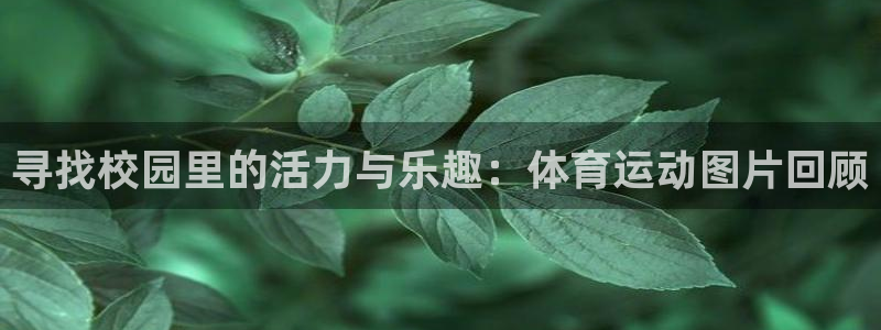 v体育官方下载入口