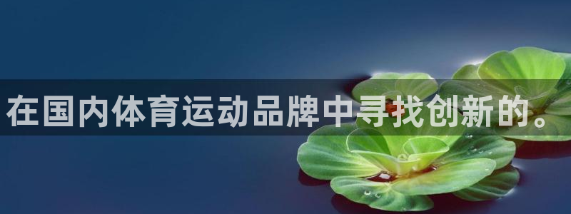 v体育官方app下载