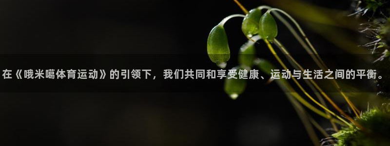 v体育app官网：在《哦米噶体育运动》的引领下，我们共同和享受健康、运动与生活之间的平衡。